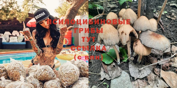 винт Аркадак