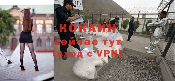 винт Аркадак